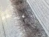 Slikts serviss
