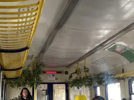 Pasažieru vilciens/ Tropiskais mežs