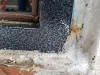 Ražo nekvalitatīvas durvis, savu vainu neatzist