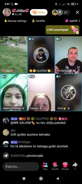 Gulbja mocīšana